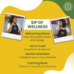 Load image into Gallery viewer, Lemongrass Ginger - Zesty Fresh Tea Bags
